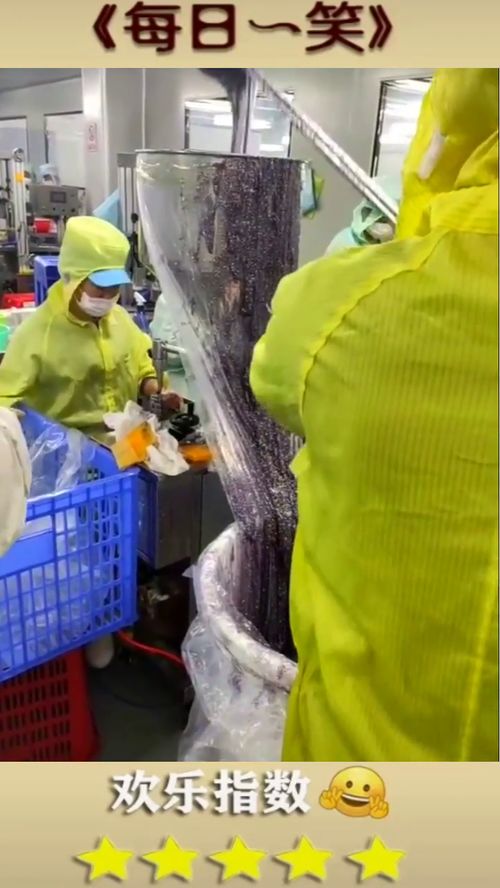 揭秘化妆品生产流水线 面膜是如何被装袋的